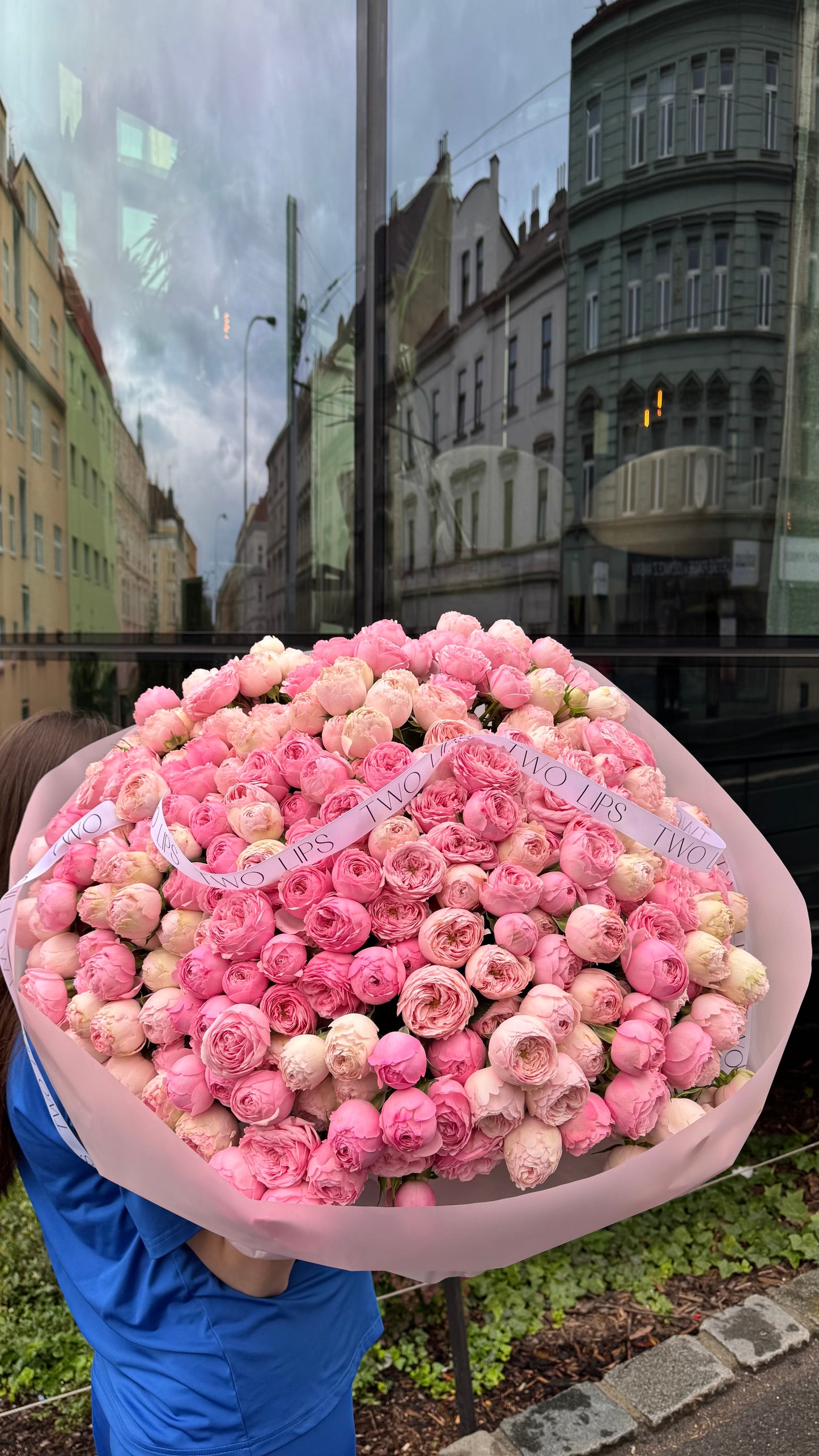 Peony roses