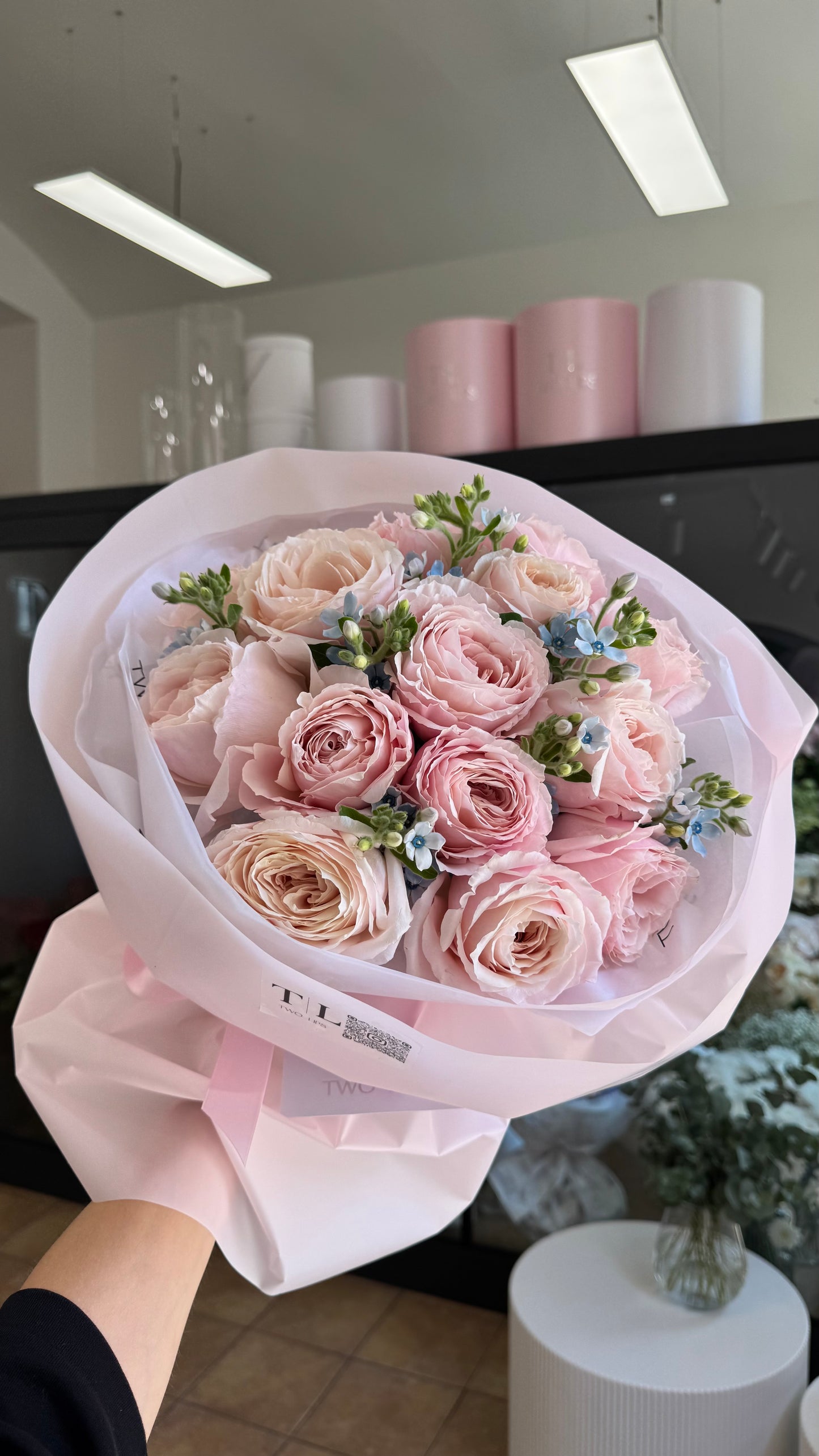 Blush Bloom