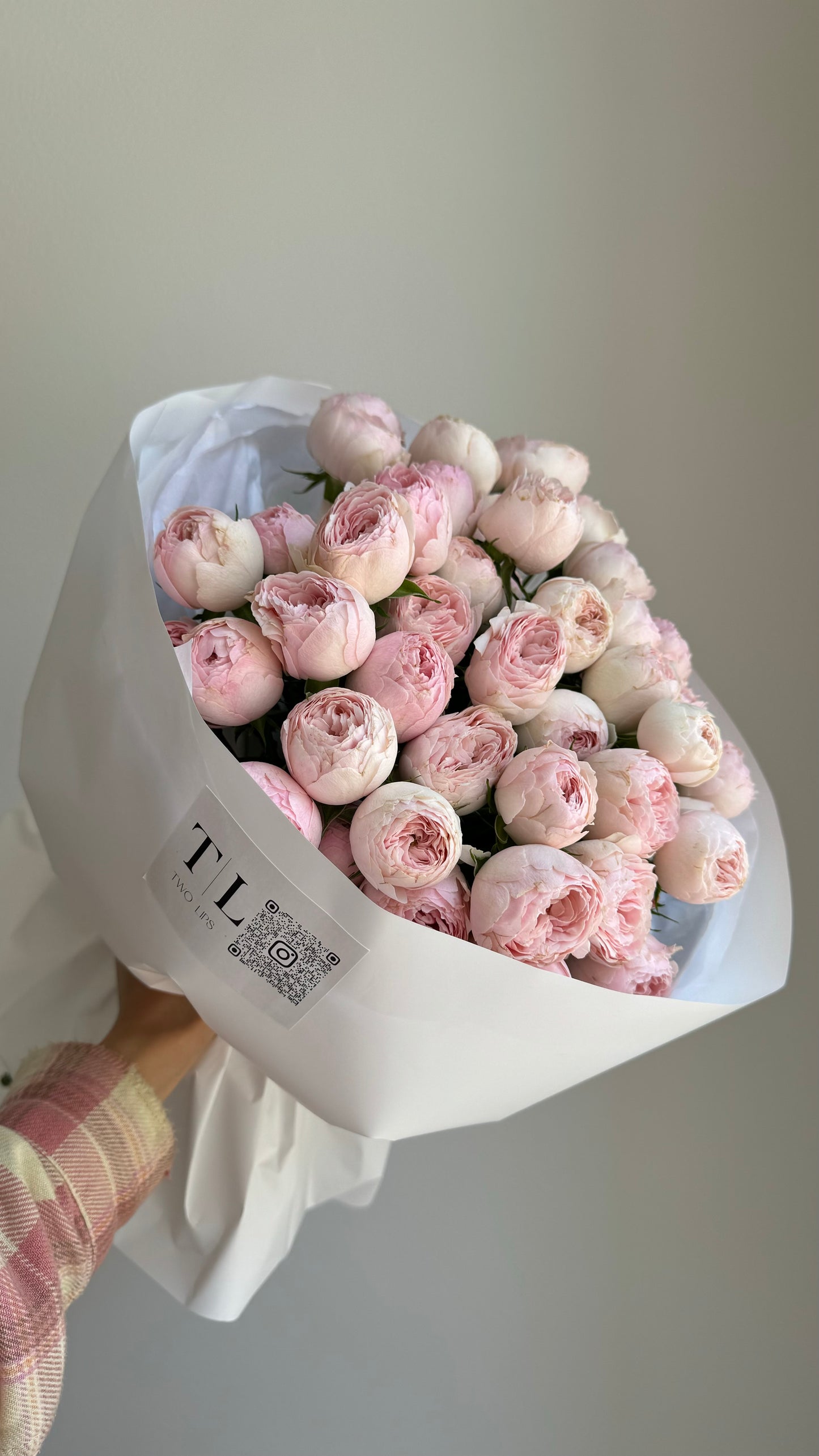 Spray peony roses