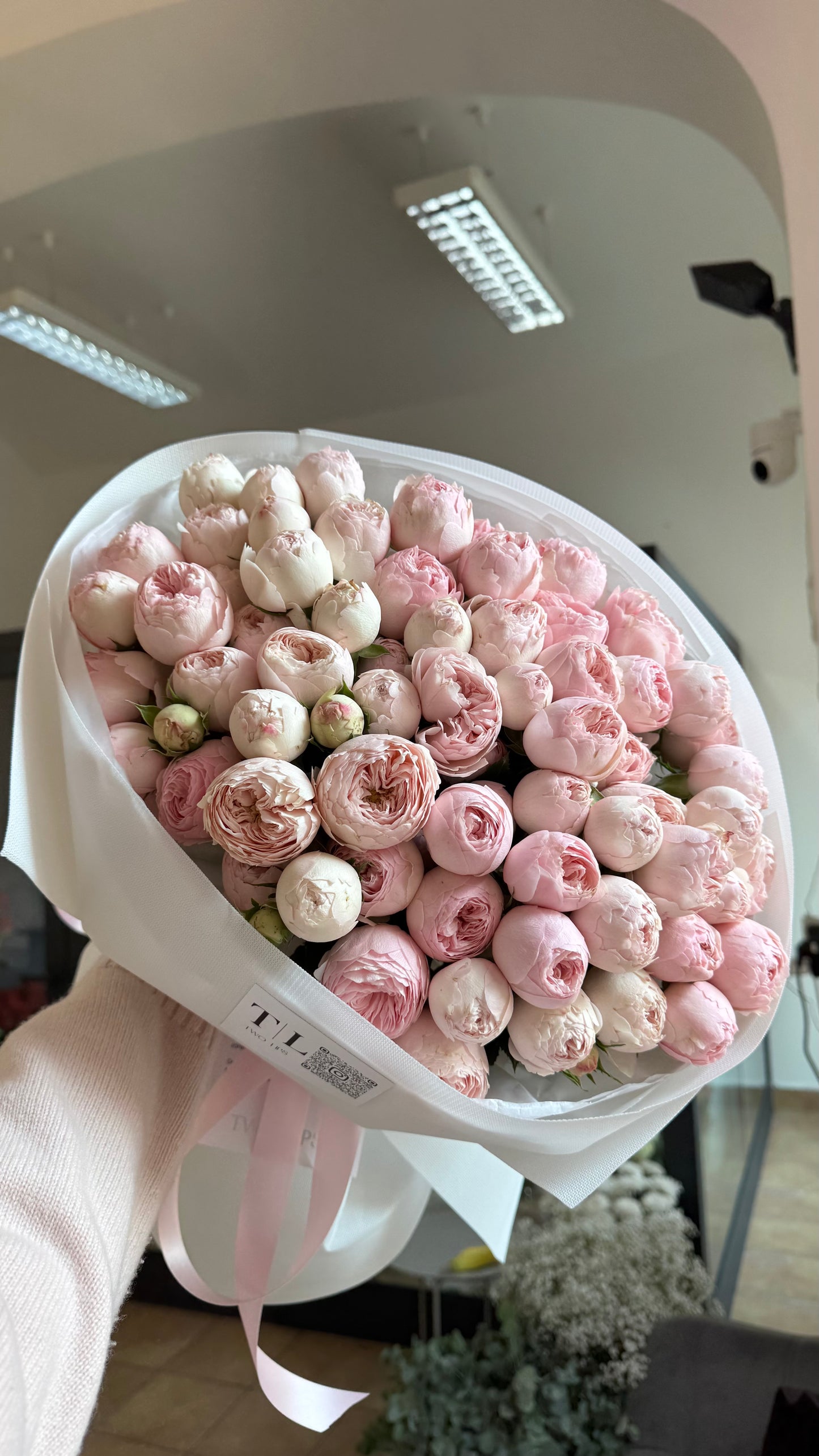 Pink dreams