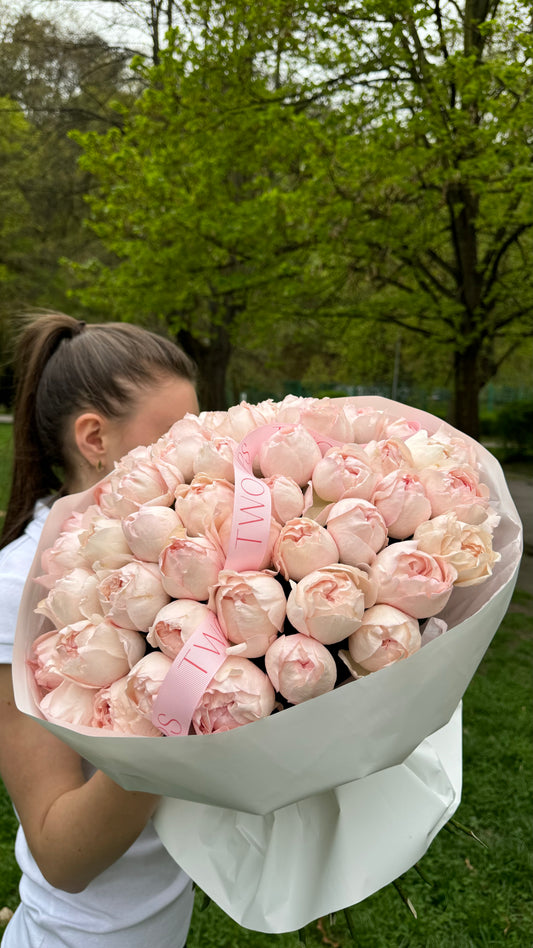 Morning Kiss 25 pcs