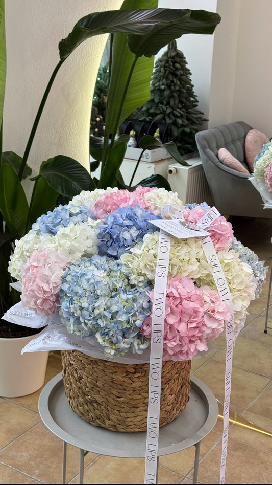 Basket of Hydrangia mix