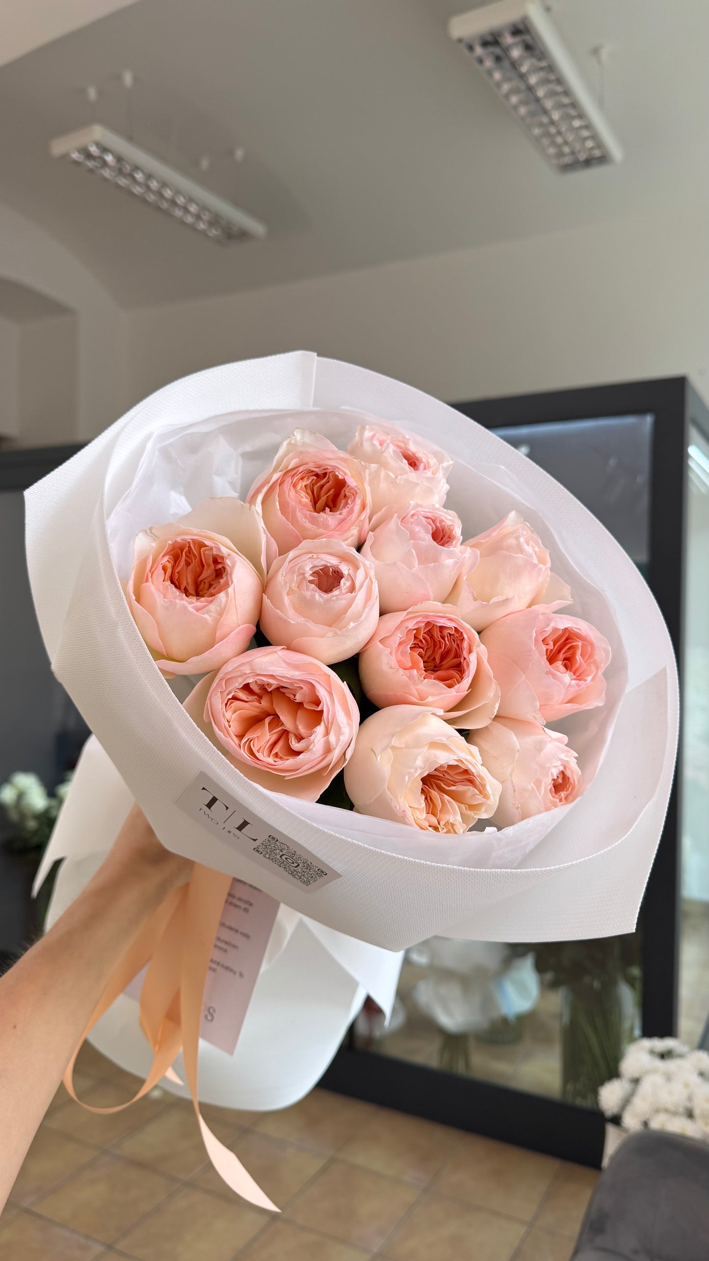 Premium peony roses