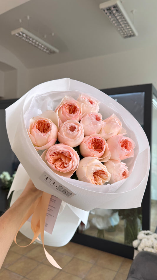 Premium peony roses